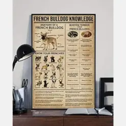 French Bulldog Knowledge Anatomy Frenchies
