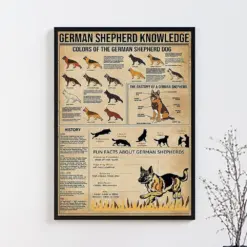 German Shepherd Knowledge Poster German Shepherd Lover Gift All About German Shepherd Vintage Poster Home Wall Art Education Wall Decor