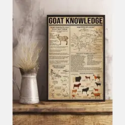 Goat Knowledge Anatomy Of A Goat