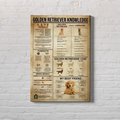 Golden Retriever Knowledge Vintage All About Golden Retriever Golden Retriever Art Golden Retriever Lover Gift Education Wall Deco