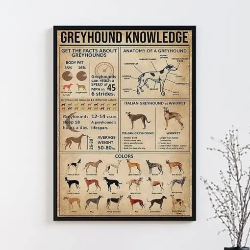 Greyhound Knowledge Vintage Poster Greyhound Lover Gift All About Greyhound Vintage Knowledge Poster Home Wall Art Education Wall Decor