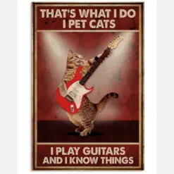 Guitar I Pet Cat I Play