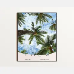 Hawaii Palm Trees Poster