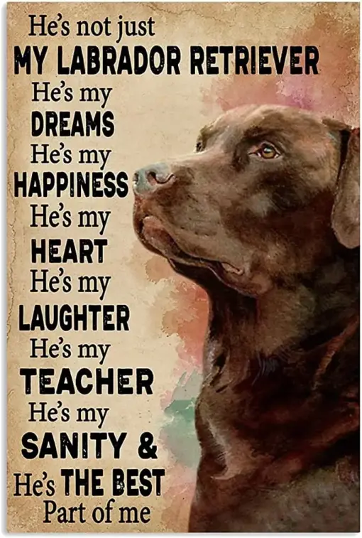 He's Not Just My Labrador Retriever He's The Best Part Of Me Poster, Canvas