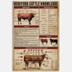 Hereford Cattle Knowledge Portrait