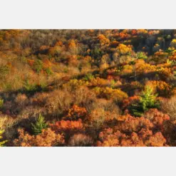 High Rocks Vista Autumn Hills Bucks County Landscape Photography Ralph Stove Park Fall Foliage Fine Art Photography Trees Pennsylvania Zen