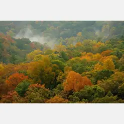 High Rocks Vista Bucks County Autumn Landscape Photograph Fall Foliage Ralph Stove State Park Pennsylvania Photography Hills Morning Mist