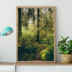 Hoh Rainforest Path Wall Art Pacific Northwest Photography Olympic National Park Washington