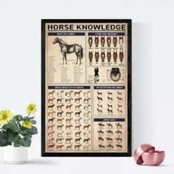 Horse Knowledge Art Print All About Horse Part Of A Horse Horse Lovers Gift Vintage Poster Education Wall Decor Gift For Animal Lovers