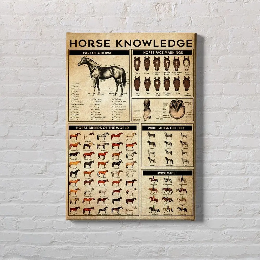 Horse Knowledge Canvas Horse Poster Horse Lover Gift Horse Racing Cowgirl Cowboys Vintage Poster Wall Decor