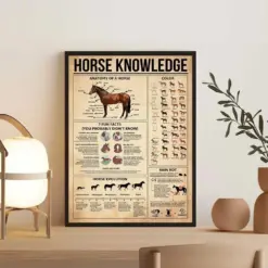 Horse Knowledge Vintage Poster Anatomy Of A Horse Art Horse Knowledge Poster Horse Lover Gift For Animal Lovers Horse Wall Art
