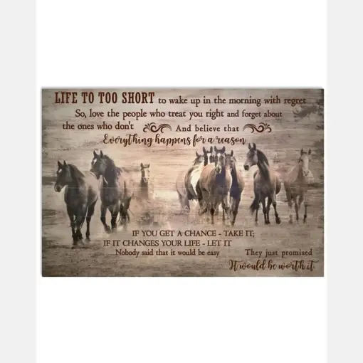 Horse Life Is Too Short