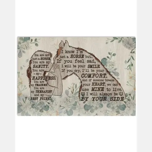 Horse You Are My Sanity