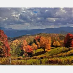 I Canvas Landscape View Of Colorful Trees