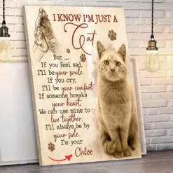 I Know I'm Just A Cat Personalized Pet Custom Photo Poster, Canvas