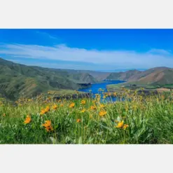 Idaho Summer Flower And Lake View Lucky Peak Reservoir And Hills Noise Idaho Horizontal Fine Art Home Gift