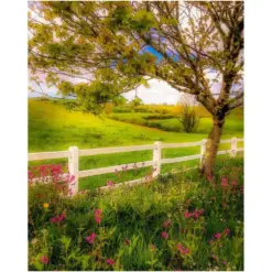 Ireland Photography Wildflower Vista Irish Art Print