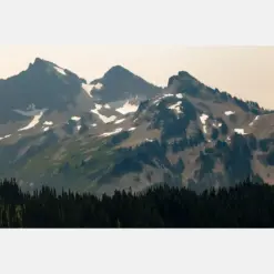 It Rainier Photography Art Print | Vista Of To Rainier Cliffs With Snow Behind Thick Forest Tree Line