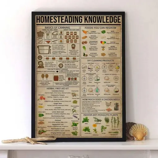 Knowledge Poster Or Canvas Basic Of Canning Wall Art Cooking Enthusiasts Wall Decor Art Print Home Lovers Gift
