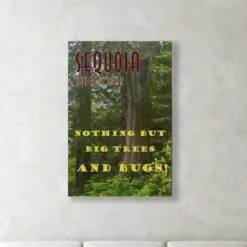 Large Wall Art Fun Sequoia National Park Redwood Forest California Travel Poster Funny Vintage Retro Art Deco Print Canvas Metal Home Decor
