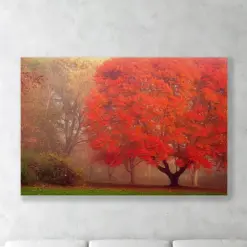 Large Wall Art Red Sugar Maple Apron Ohio National Park Forest Yellow Oak Tree Autumn Fall Colors Original Artwork Metal Canvas