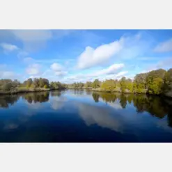 Lettuce Lake