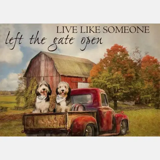 Live Like Someone Left The Gate Open Farmhouse Vintage Bernedoodle Dogs