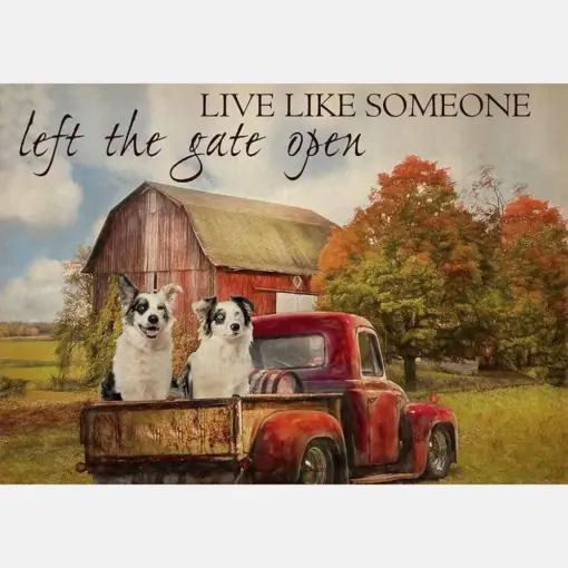 Live Like Someone Left The Gate Open Farmhouse Vintage Collie Dogs