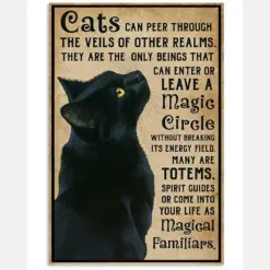 Magical Familiars Black Cat