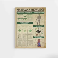 Marijuana Knowledge Poster Marijuana Lover Canvas Vintage Cannabis Poster Type Of Cabins Canvas Vintage Wall Art Mental Health Poster