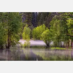 Misty Morning At Yosemite