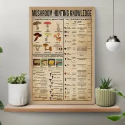 Mushroom Hunting Knowledge Vintage Poster Common Poisonous Mushrooms Types Of Mushroom And Where To Look Mushroom Print Knowledge Poster