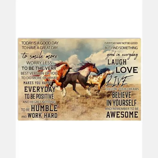 Mustang Horse Today Is A Good Day