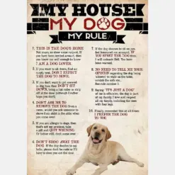 My House My Dog My Rule Labrador
