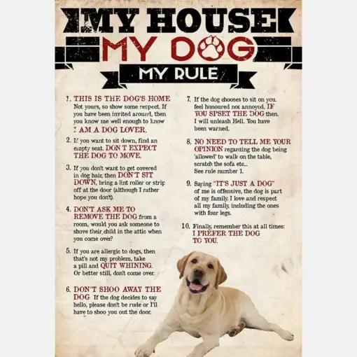 My House My Dog My Rule Labrador