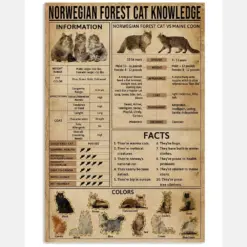 Norwegian Forest Cat Knowledge