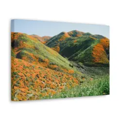 Orange Poppy Mountains California Canvas Gallery Wrap Home Decor Wall Art Landscape Photography Wanderlust Scenery Decoration