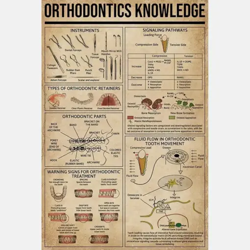 Orthodontic Knowledge Poster Illustrated Wall Decor Artwork Gift For Dentist