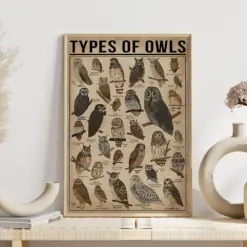 Owls Knowledge Poster Breeds Of Owl Vintage Poster Types Of Owl Chart Owl Wall Decor Owls Of The World Poster Owl Bird Type Chart