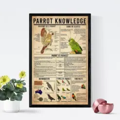 Parrot Knowledge Poster Parrot Fun Facts The Anatomy Of A Parrot Types Of Parrot Parrot Is Parakeet Parrot Signs Of Illness