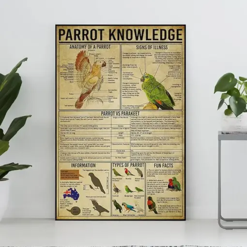 Parrot Knowledge Vintage Poster Parrot Lover Gift Parrot Art Print Knowledge Poster Knowledge Art Home Wall Decor Education Wall Decor