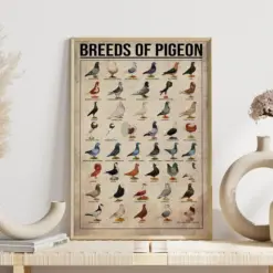 Pigeon Knowledge Poster Breeds Of Pigeon Vintage Poster Types Of Pigeon Pigeon Wall Decor Pigeon Of The World Poster Pigeon Type Chart