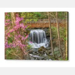 Pinion Creek Falls Bella Vista Spring Flowers Northwest Arkansas Landscape Prints Nature Photography Lake Ann Waterfall Natural State