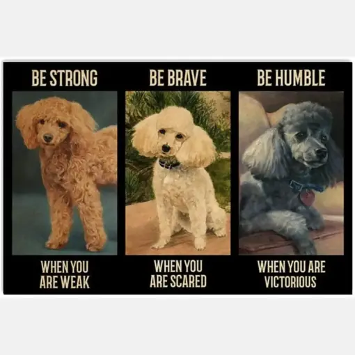 Poodle Be Strong When You Are Weak Be Brave Be Humble Be Badass Everyday For Dog Lovers