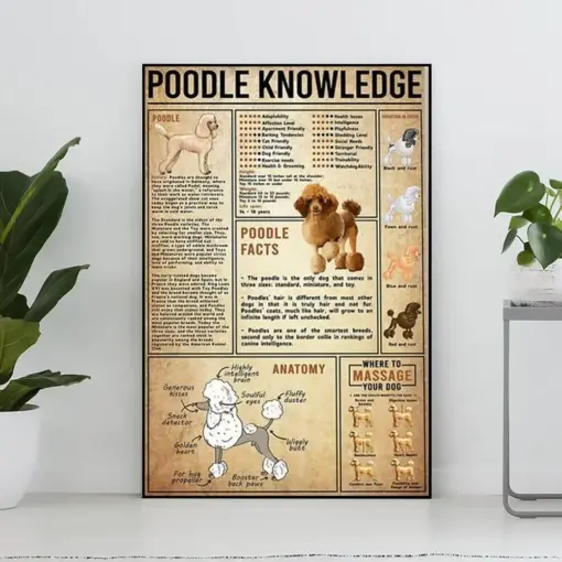 Poodle Knowledge Poster Poodle Lover Gift All About Poodle Vintage Knowledge Poster Knowledge Wall Art Home Decor Education Wall Decor