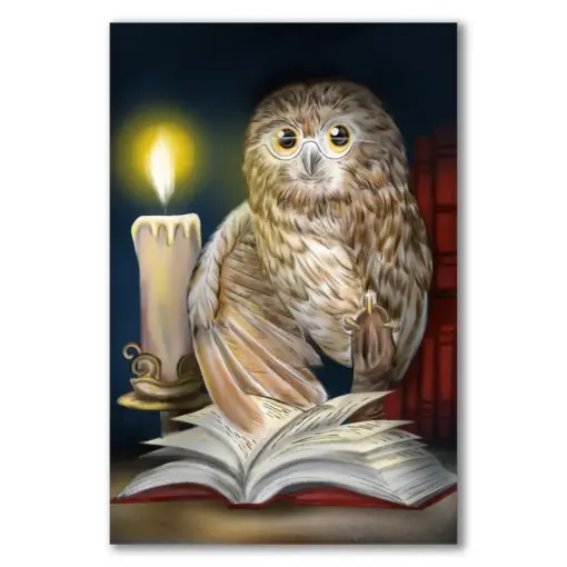 Reading Owl