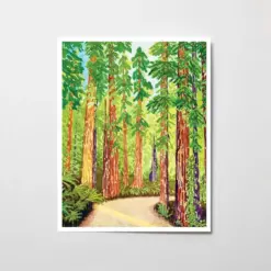 Redwood Forest Watercolor Painting California National Park Art Print Impressionist Outdoor Artwork