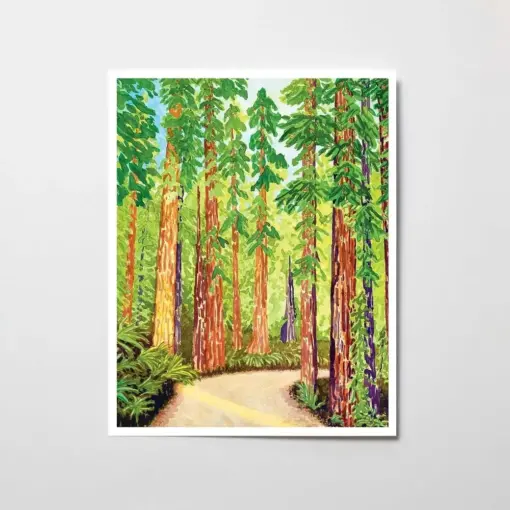 Redwood Forest Watercolor Painting California National Park Art Print Impressionist Outdoor Artwork