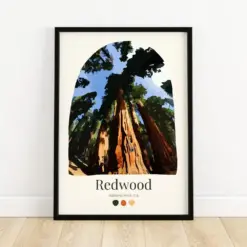 Redwood National Park - Aesthetic Travel Poster Home Decor Nature Gift Cute Wilderness Art Cozy Minimalist Print Pastel