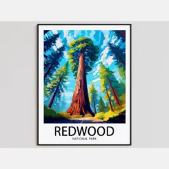 Redwood Travel Poster Redwood Print National Park Art Print Redwood Gift Redwood Wall Art Redwood Artwork National Park Decor